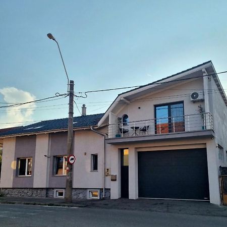 Muki House Apartman Vajdahunyad Kültér fotó